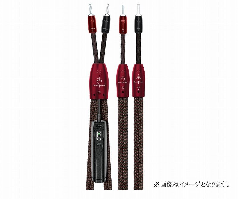 audioquest Brave Heart