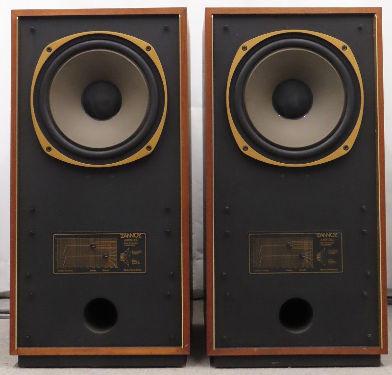 TANNOY ARUNDEL